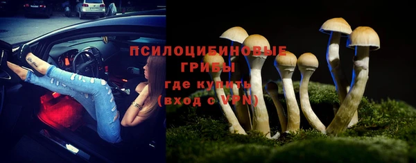соль ск Вяземский