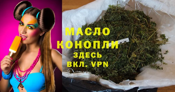 соль ск Вяземский