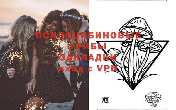 соль ск Вяземский