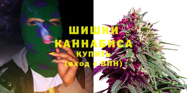 соль ск Вяземский