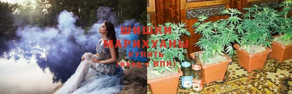 соль ск Вяземский