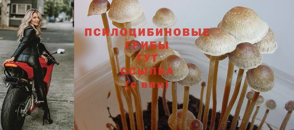 гашиш Вязники
